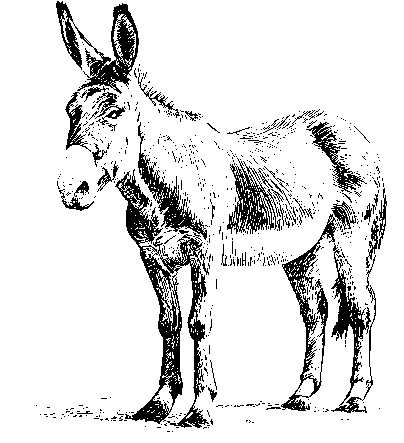 The B3 Shop